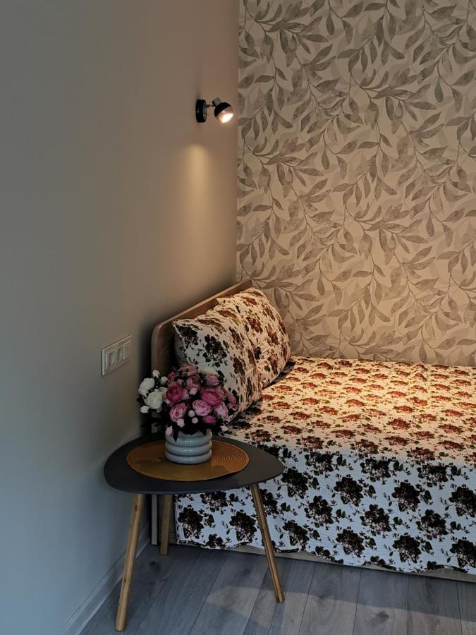 Upes Apartamentai Birzai ภายนอก รูปภาพ