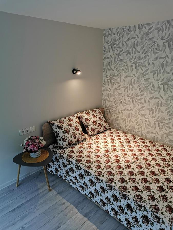 Upes Apartamentai Birzai ภายนอก รูปภาพ