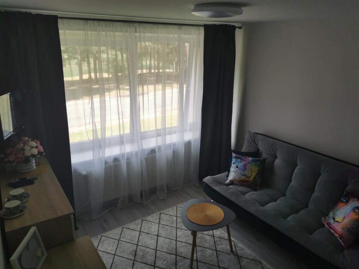 Upes Apartamentai Birzai ภายนอก รูปภาพ