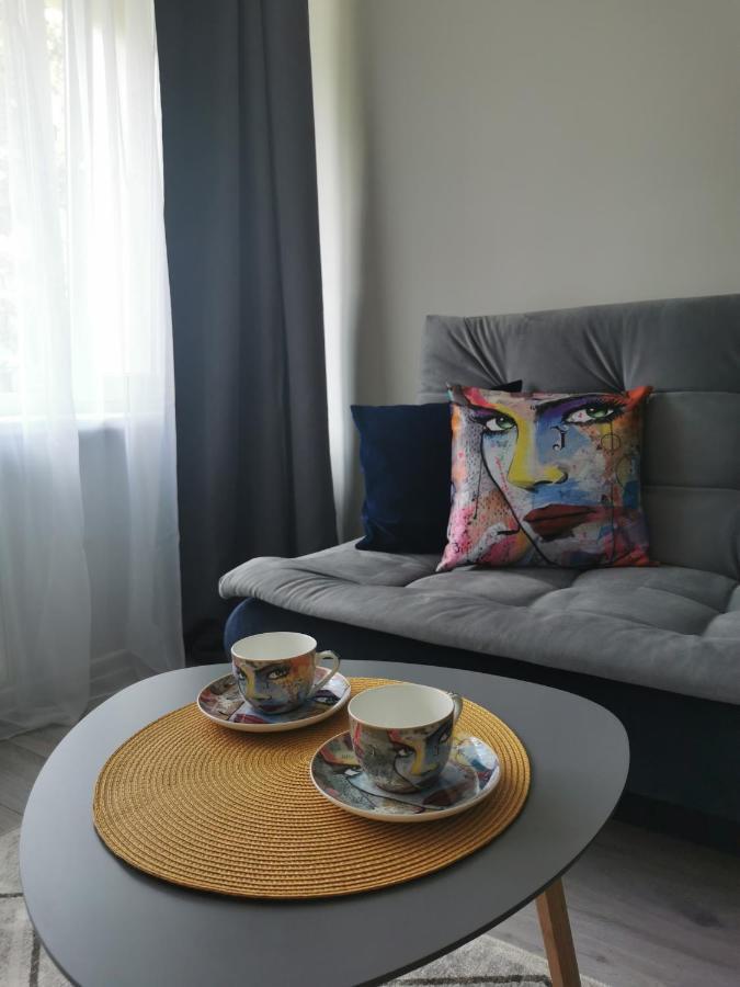 Upes Apartamentai Birzai ภายนอก รูปภาพ