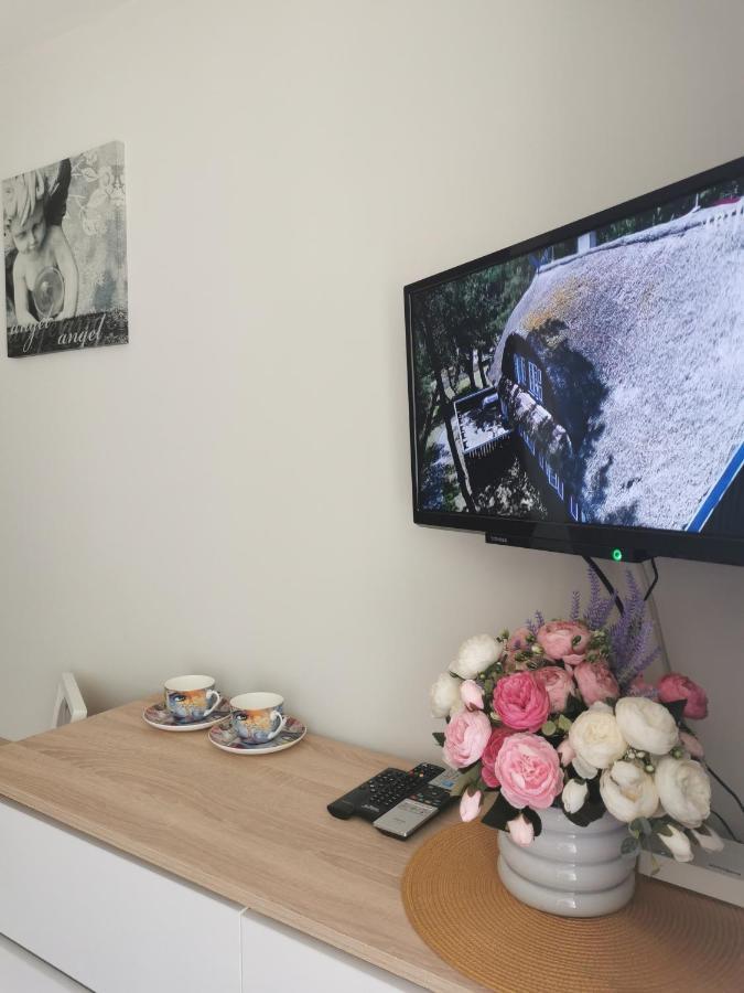 Upes Apartamentai Birzai ภายนอก รูปภาพ
